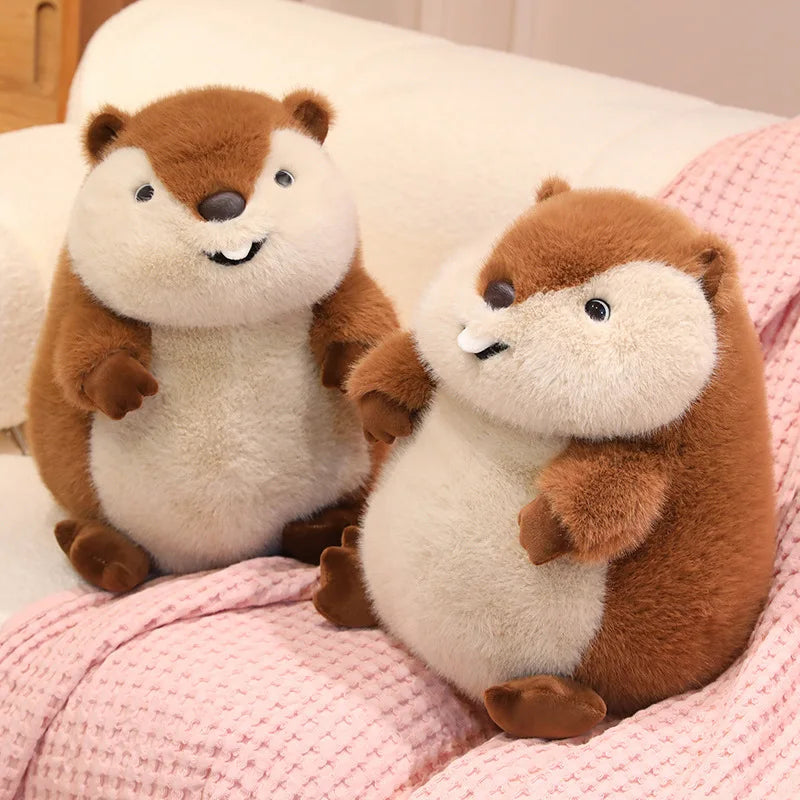 Chuck the Chunky Groundhog Plushie