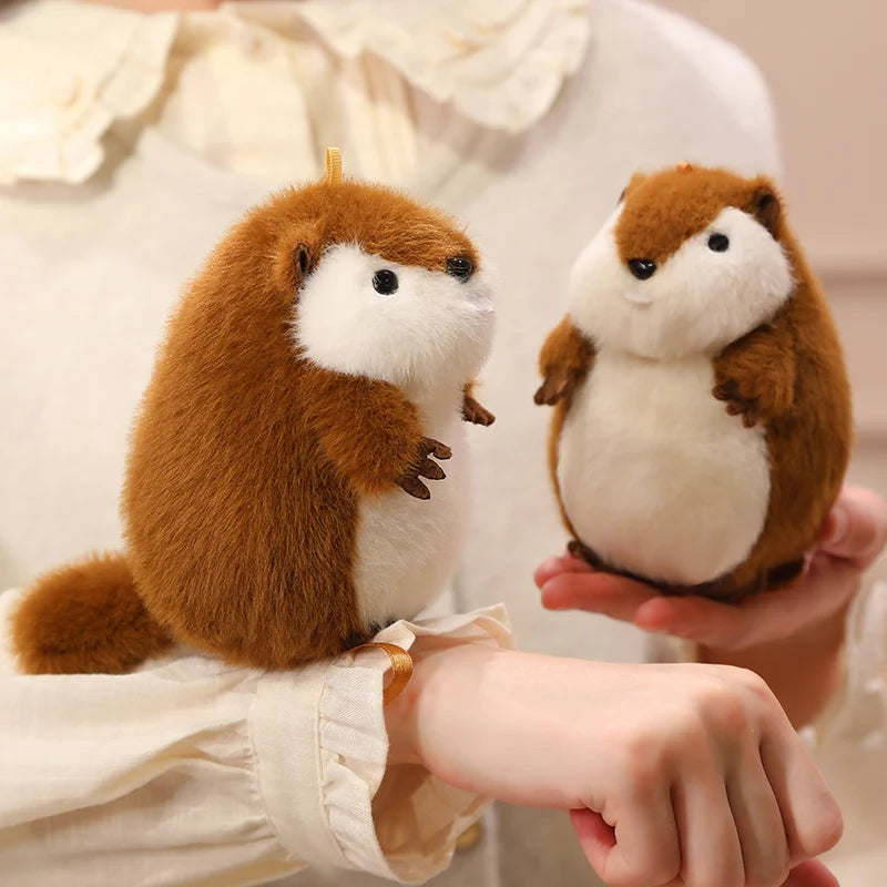 Chuck the Chunky Groundhog Plushie