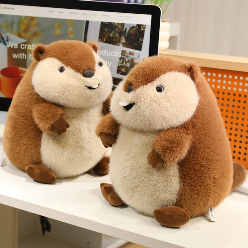 Chuck the Chunky Groundhog Plushie