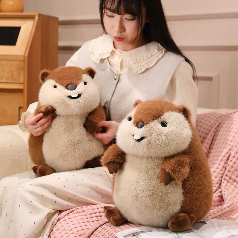 Chuck the Chunky Groundhog Plushie