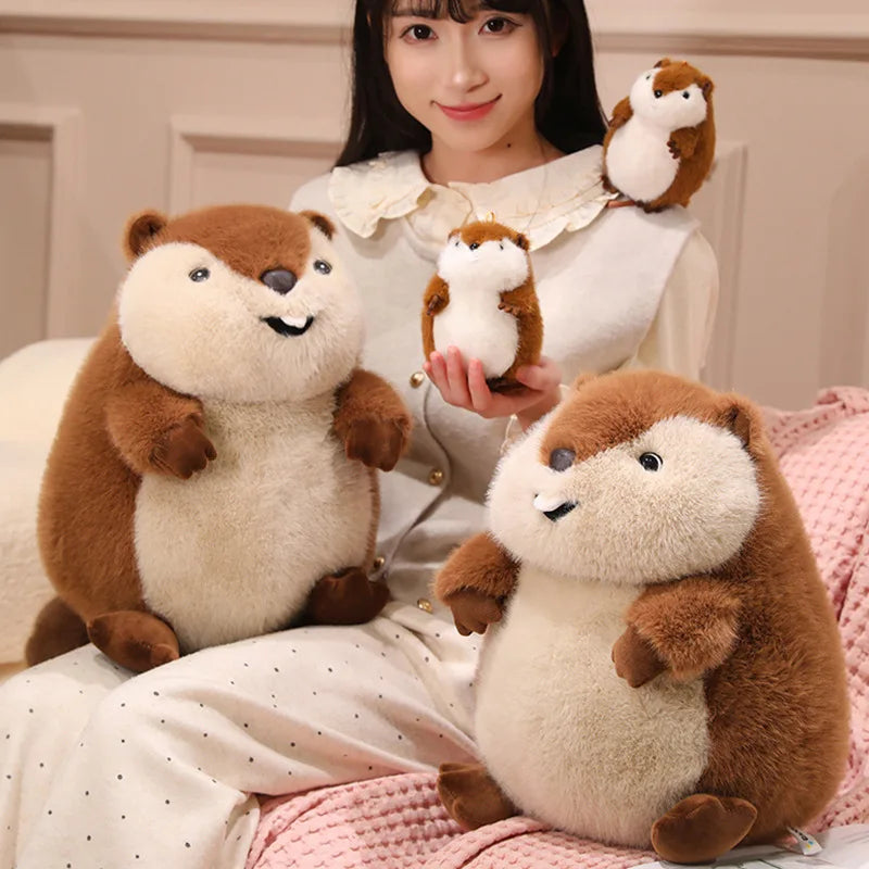 Chuck the Chunky Groundhog Plushie