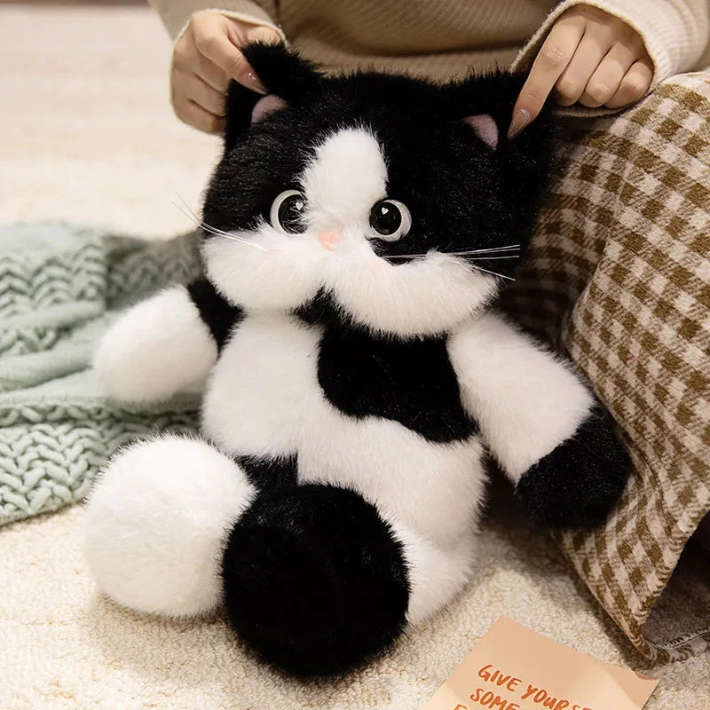 kawaiies-softtoys-plushies-kawaii-plush-Big-eyed Calico Siamese Cat Plush Friends Soft toy