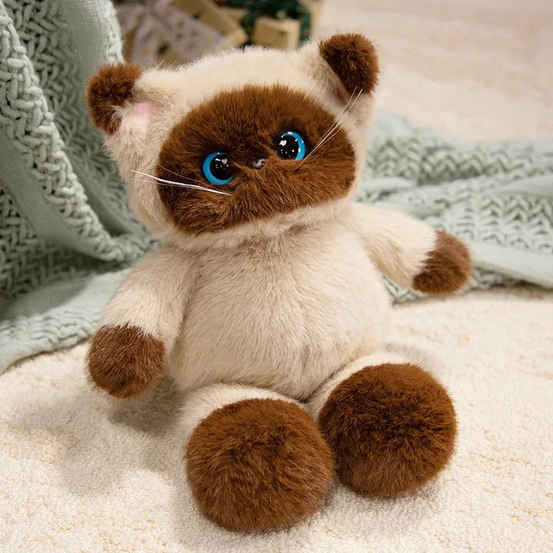 kawaiies-softtoys-plushies-kawaii-plush-Big-eyed Calico Siamese Cat Plush Friends Soft toy 45cm Siamese Cat