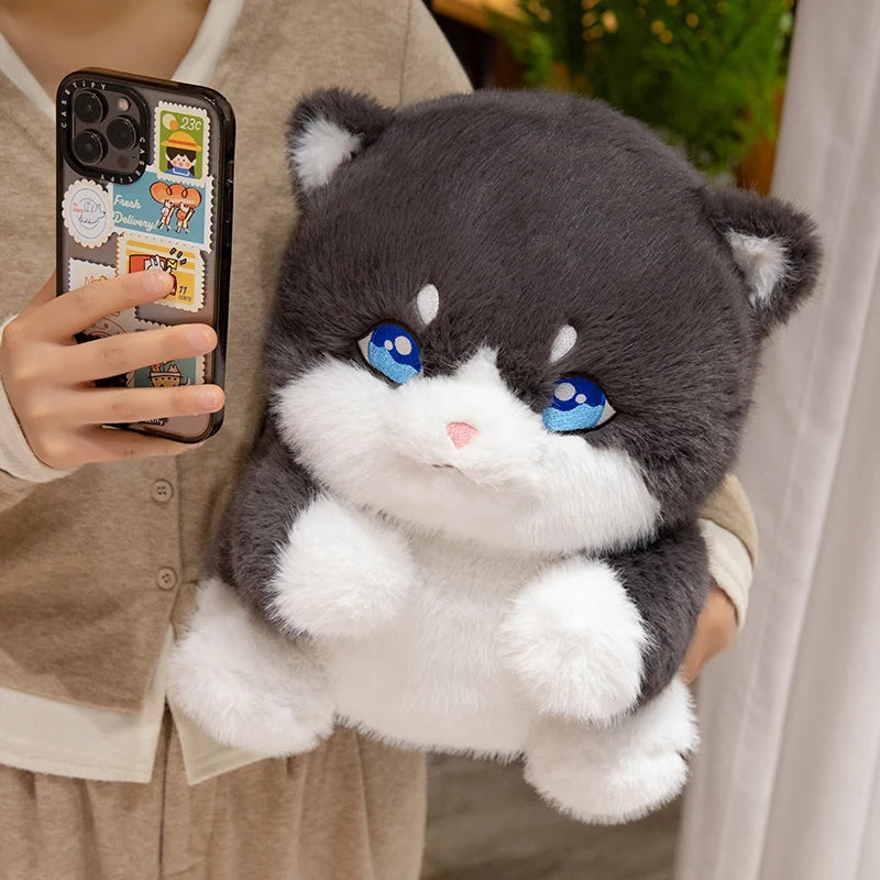 kawaiies-softtoys-plushies-kawaii-plush-Cute Chubby Gray Ginger Cat Plushies Soft toy