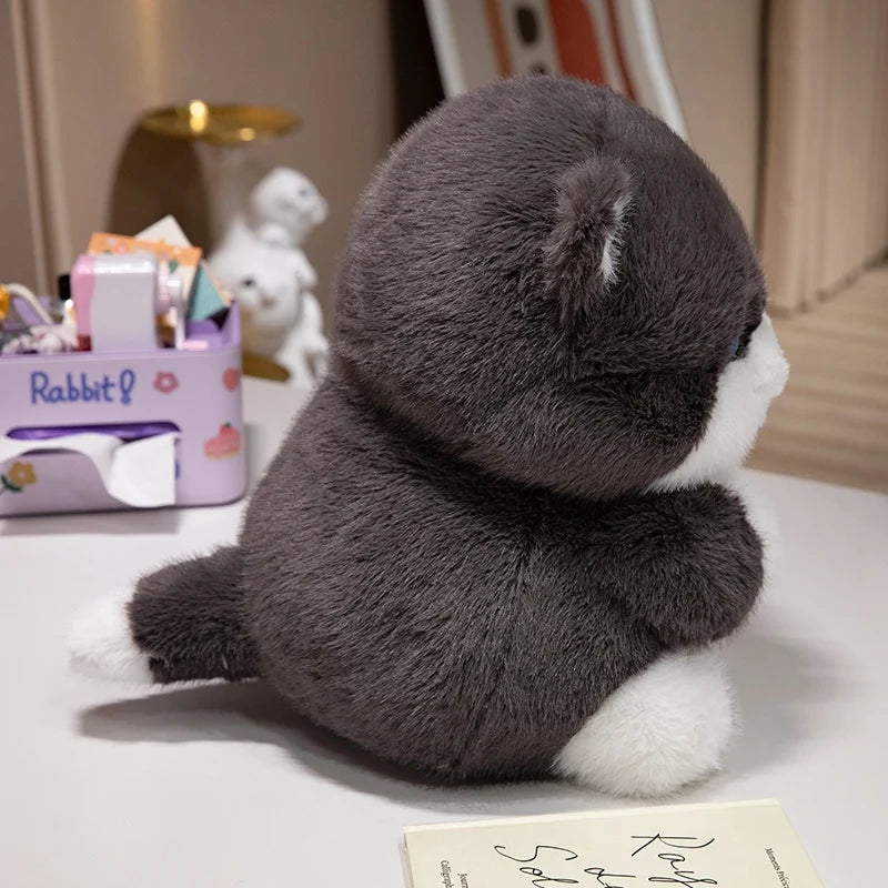 kawaiies-softtoys-plushies-kawaii-plush-Cute Chubby Gray Ginger Cat Plushies Soft toy