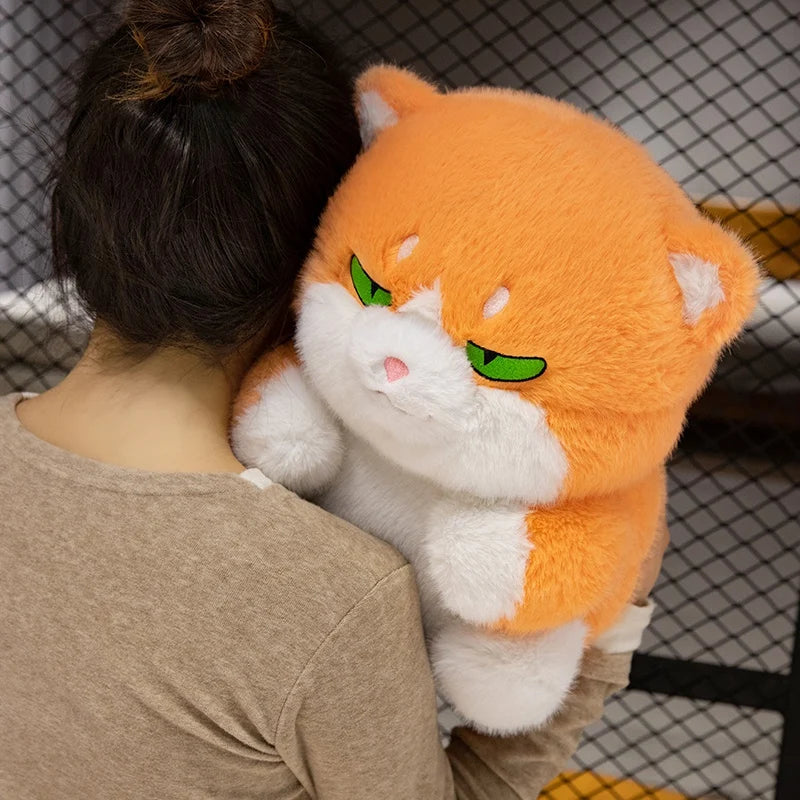 kawaiies-softtoys-plushies-kawaii-plush-Cute Chubby Gray Ginger Cat Plushies Soft toy