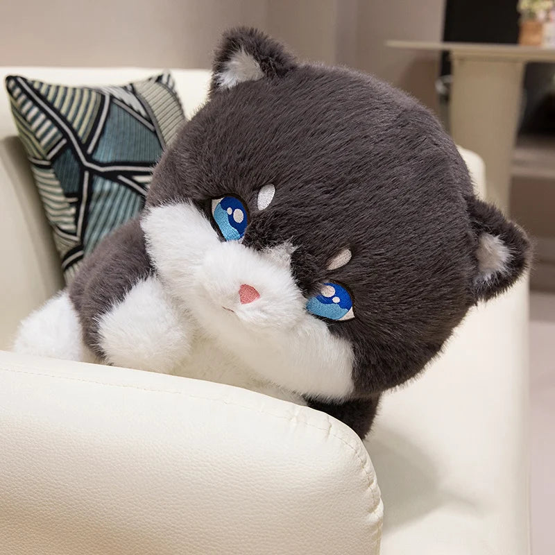kawaiies-softtoys-plushies-kawaii-plush-Cute Chubby Gray Ginger Cat Plushies Soft toy