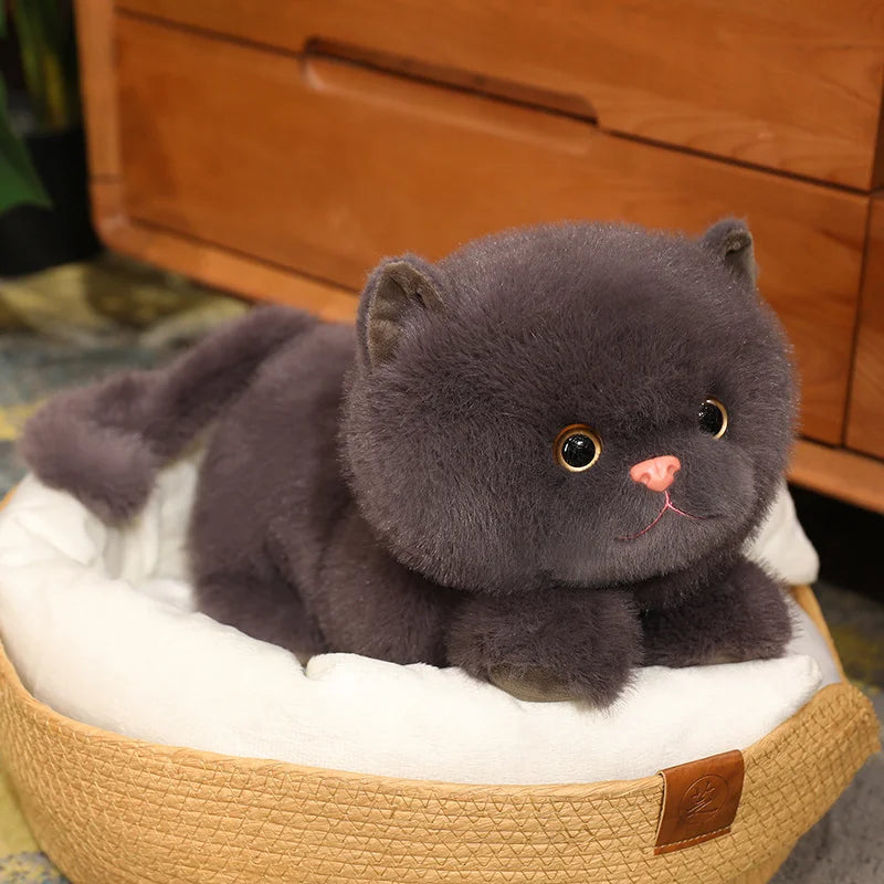 kawaiies-softtoys-plushies-kawaii-plush-Fluffy Kitten Squad Laying Plushies Soft toy