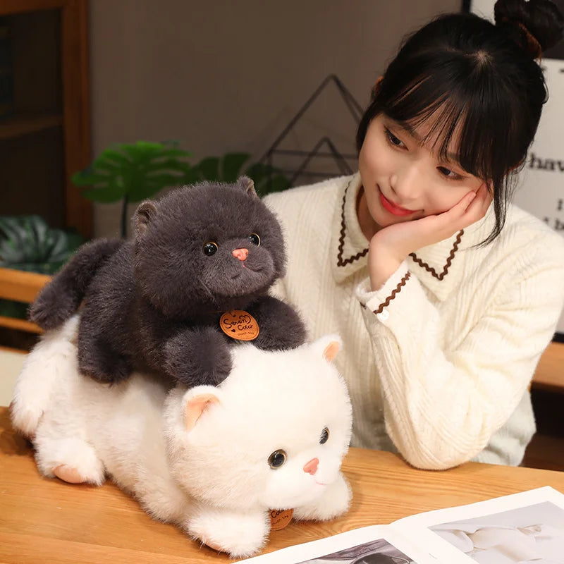 kawaiies-softtoys-plushies-kawaii-plush-Fluffy Kitten Squad Laying Plushies Soft toy
