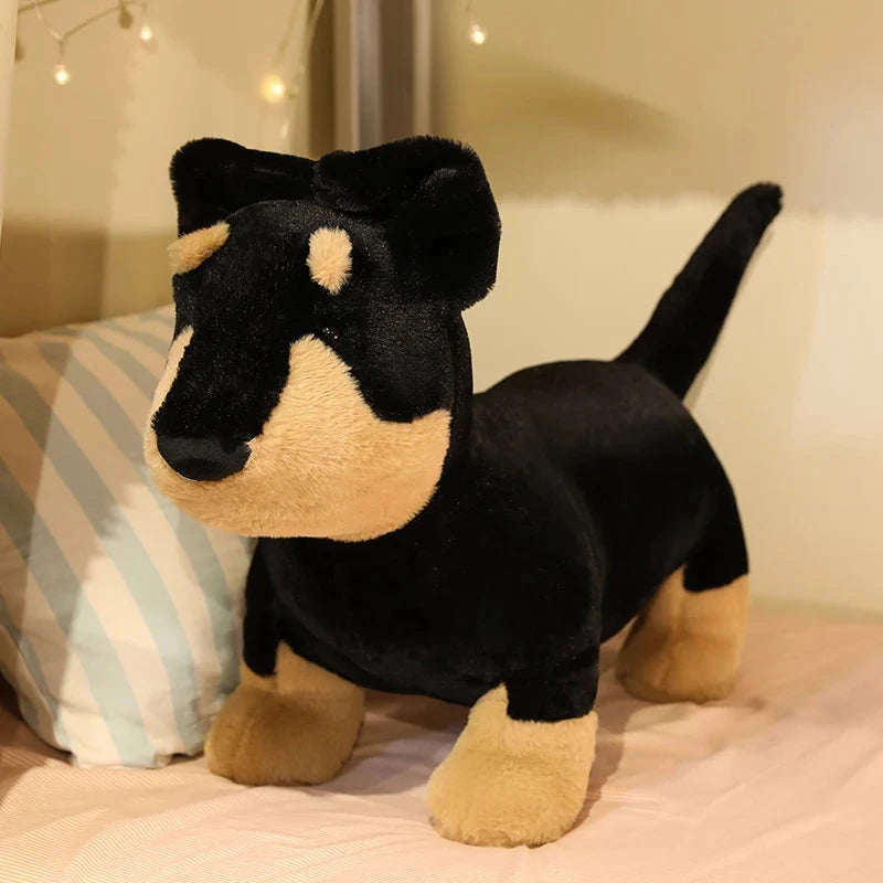 kawaiies-softtoys-plushies-kawaii-plush-Huggable Long Sausage Dog Plush Soft toy