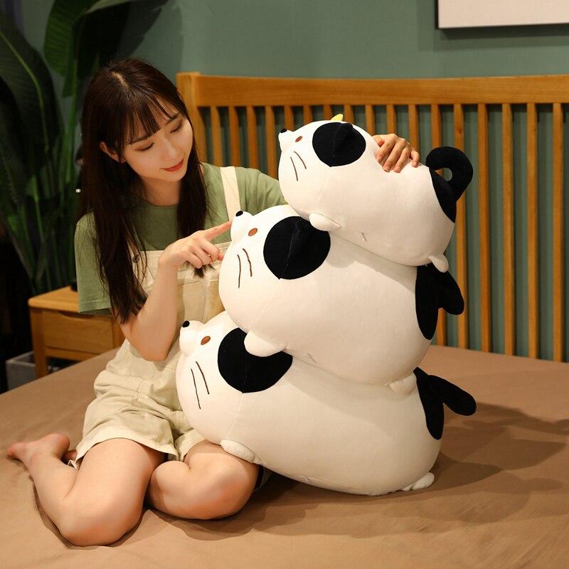 Chubby Cat Squad - Kawaiies - Adorable - Cute - Plushies - Plush - Kawaii