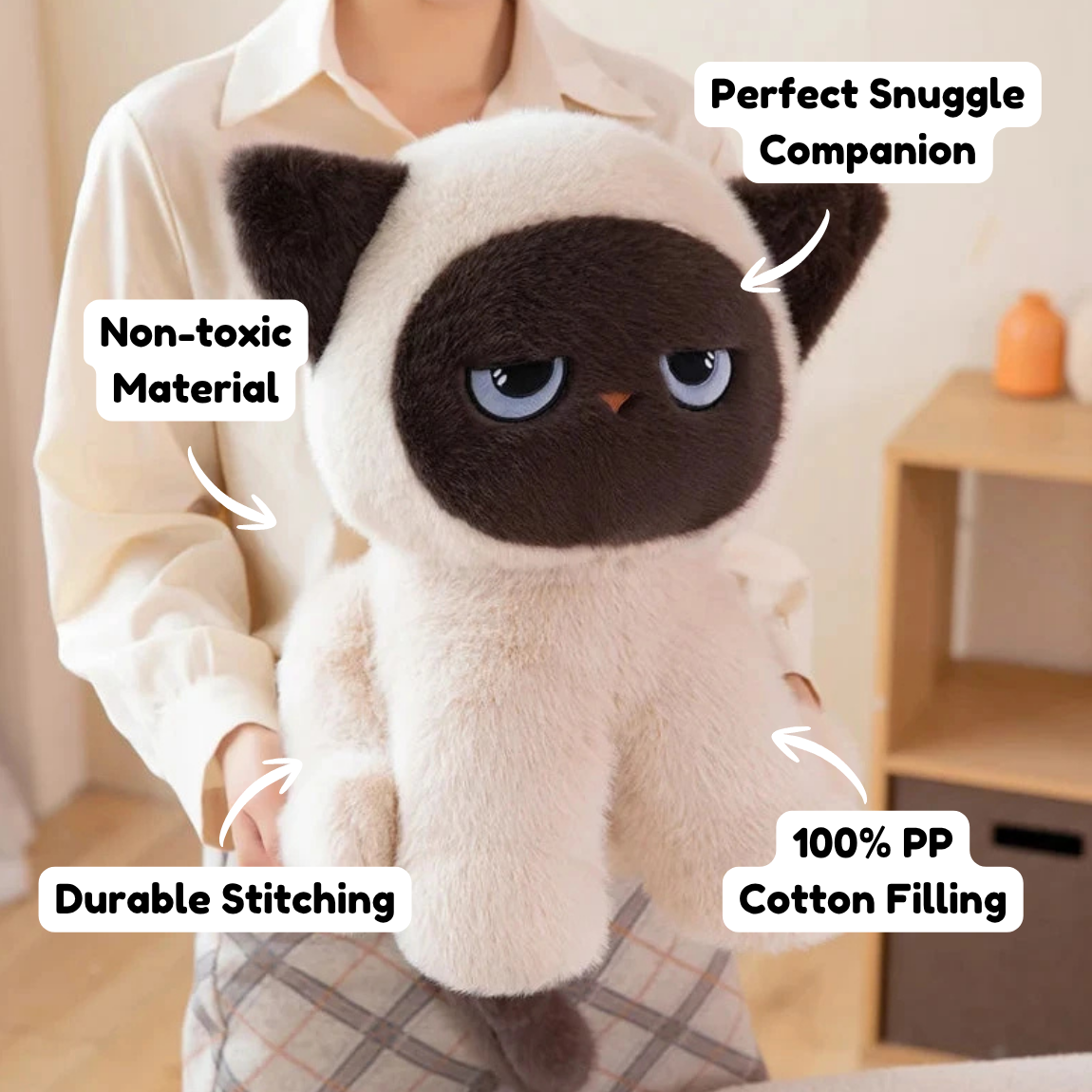 Momo the Sitting Kawaii Siamese Cat