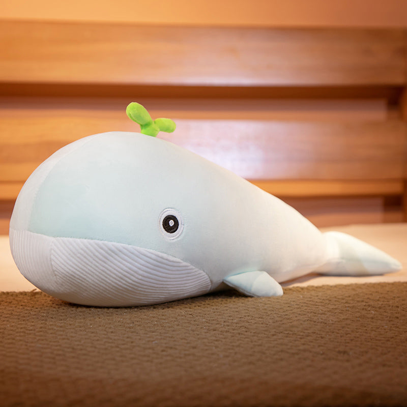 A Pod of Cuddly Whale Plushies