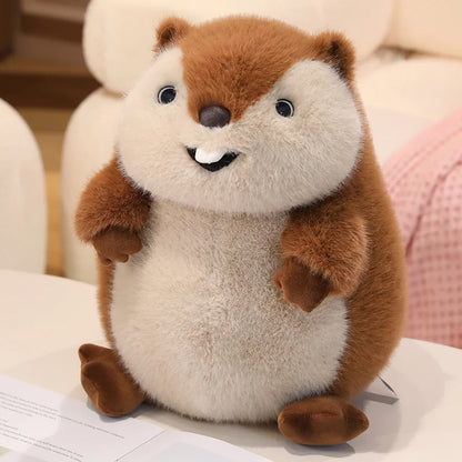 Chuck the Chunky Groundhog Plushie