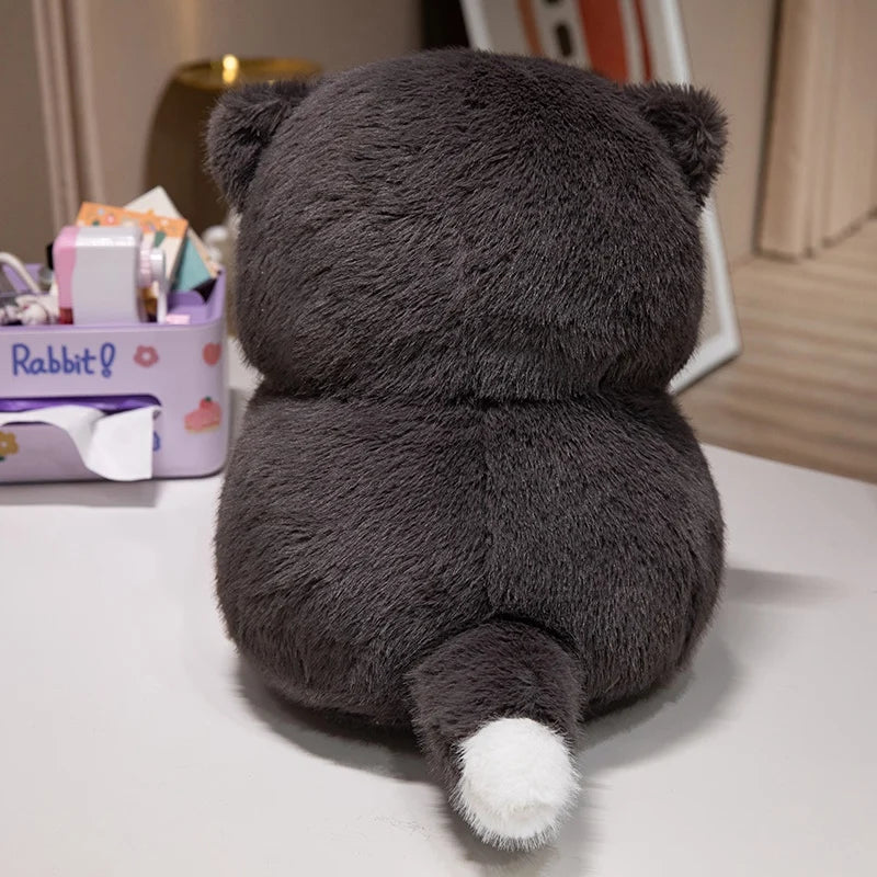 kawaiies-softtoys-plushies-kawaii-plush-Cute Chubby Gray Ginger Cat Plushies Soft toy 