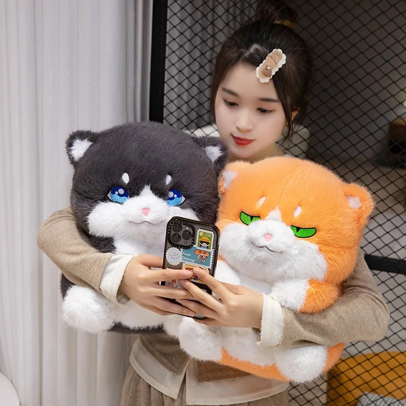 Cute Chubby Gray Ginger Cat Plushies Kawaiies