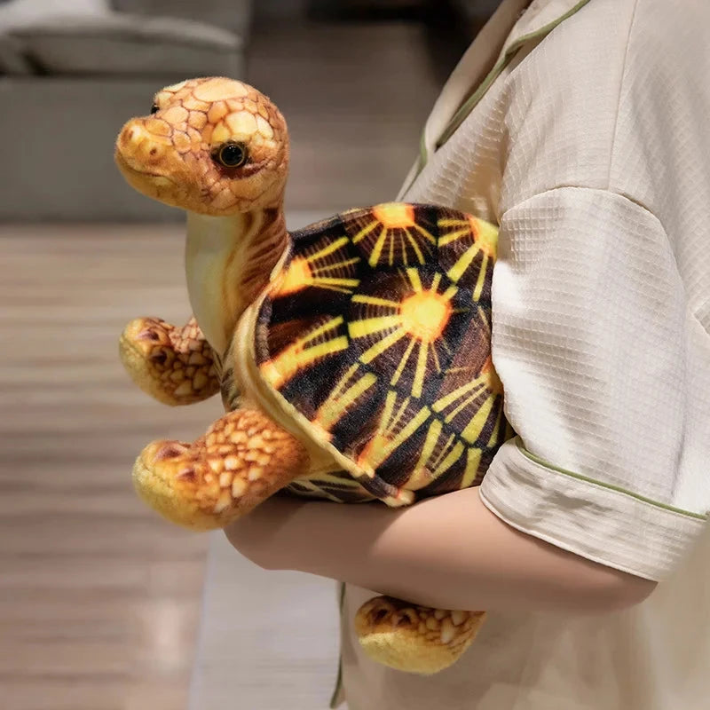 kawaiies-softtoys-plushies-kawaii-plush-Cute Life Like Tortoise Plushie Soft toy 