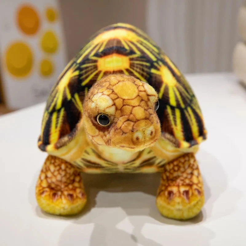 kawaiies-softtoys-plushies-kawaii-plush-Cute Life Like Tortoise Plushie Soft toy 