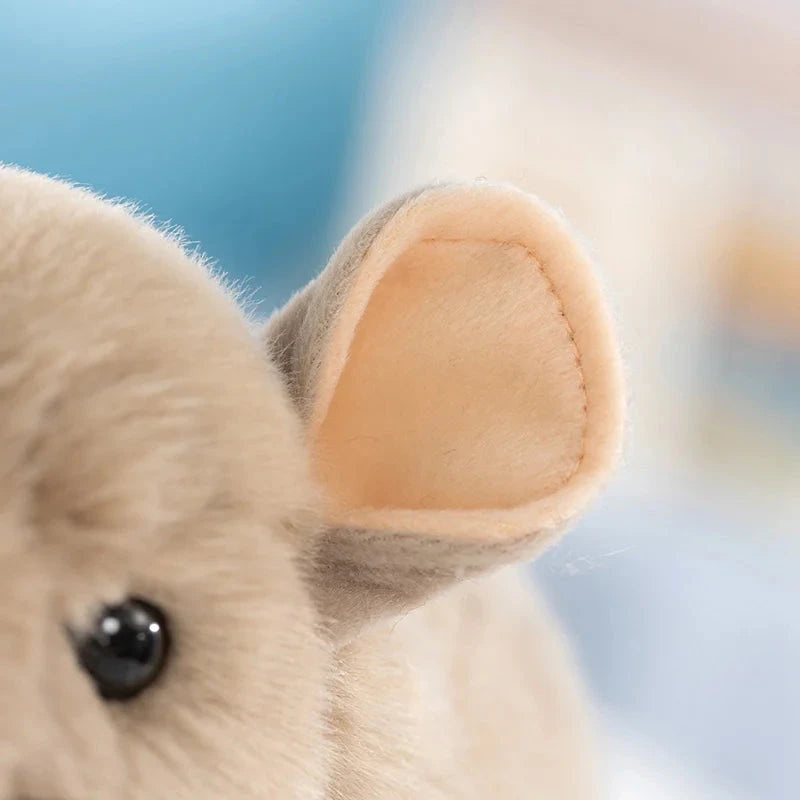 kawaiies-softtoys-plushies-kawaii-plush-Didi the Kawaii Chinchilla Plushie Soft toy 