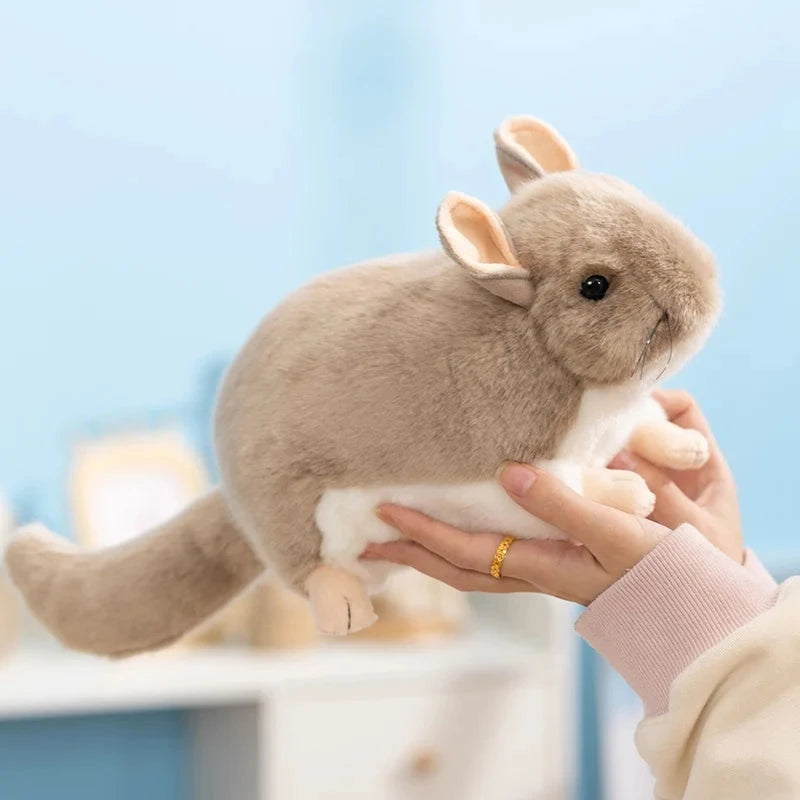 kawaiies-softtoys-plushies-kawaii-plush-Didi the Kawaii Chinchilla Plushie Soft toy 