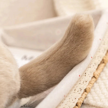 kawaiies-softtoys-plushies-kawaii-plush-Didi the Kawaii Chinchilla Plushie Soft toy 