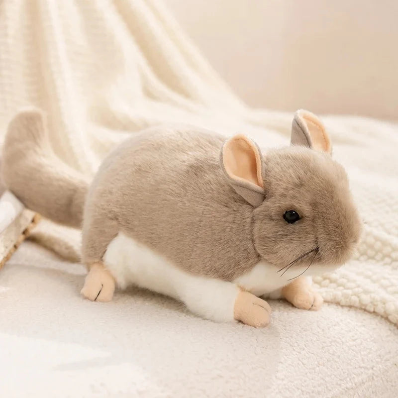 kawaiies-softtoys-plushies-kawaii-plush-Didi the Kawaii Chinchilla Plushie Soft toy 