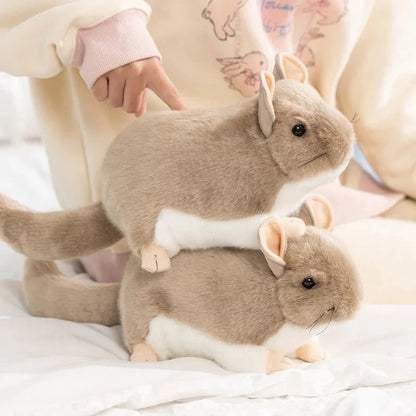 kawaiies-softtoys-plushies-kawaii-plush-Didi the Kawaii Chinchilla Plushie Soft toy 