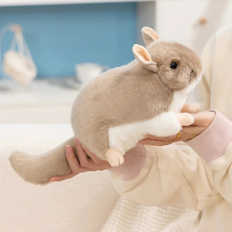 kawaiies-softtoys-plushies-kawaii-plush-Didi the Kawaii Chinchilla Plushie Soft toy 
