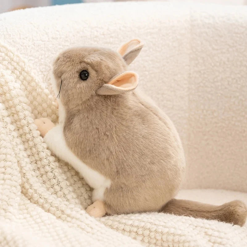 kawaiies-softtoys-plushies-kawaii-plush-Didi the Kawaii Chinchilla Plushie Soft toy 