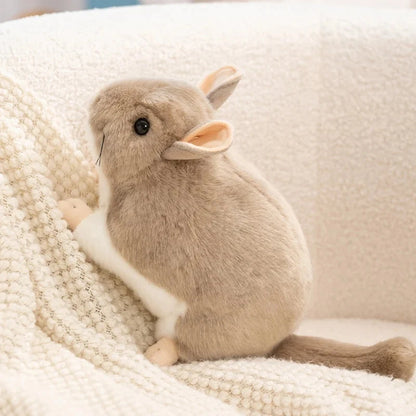 kawaiies-softtoys-plushies-kawaii-plush-Didi the Kawaii Chinchilla Plushie Soft toy 