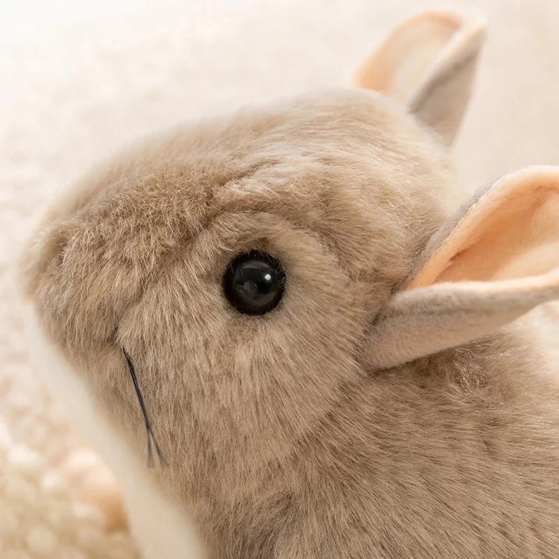 kawaiies-softtoys-plushies-kawaii-plush-Didi the Kawaii Chinchilla Plushie Soft toy 