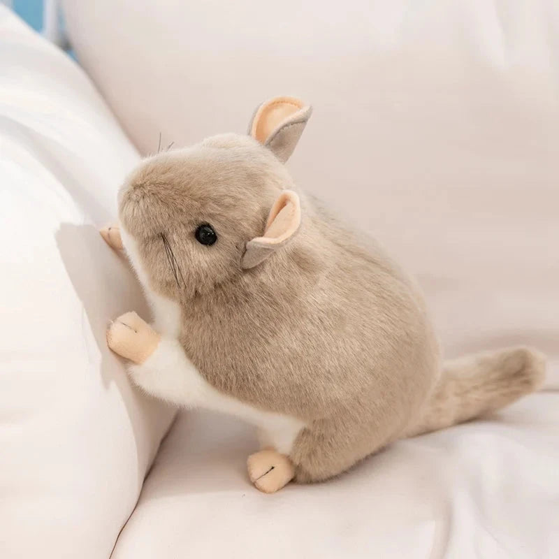 kawaiies-softtoys-plushies-kawaii-plush-Didi the Kawaii Chinchilla Plushie Soft toy 