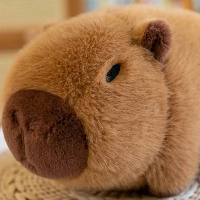kawaiies-softtoys-plushies-kawaii-plush-Fluffy Avocado Capybara Plushie Soft toy 