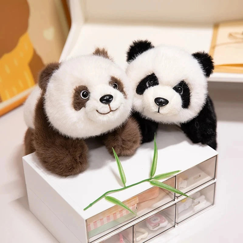 kawaiies-softtoys-plushies-kawaii-plush-Kawaii Fuzzy Black Brown Panda Plushies Soft toy 