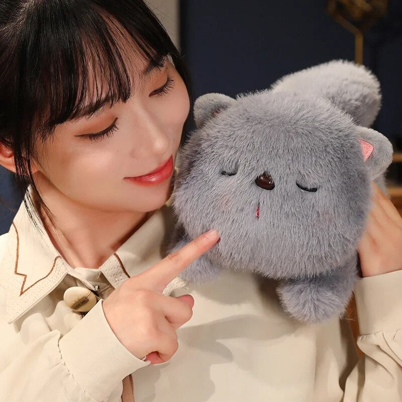 Kawaii Soft Sleeping Cat Kawaiies