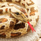 kawaiies-softtoys-plushies-kawaii-plush-Long Realistic Brown Green Orange Snake Plushies Soft toy 
