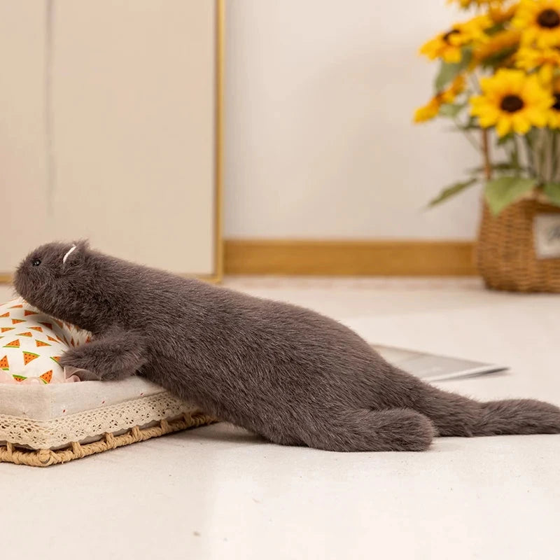 kawaiies-softtoys-plushies-kawaii-plush-Mochi & Miso The Fluffy Ferret Plushies Soft toy 