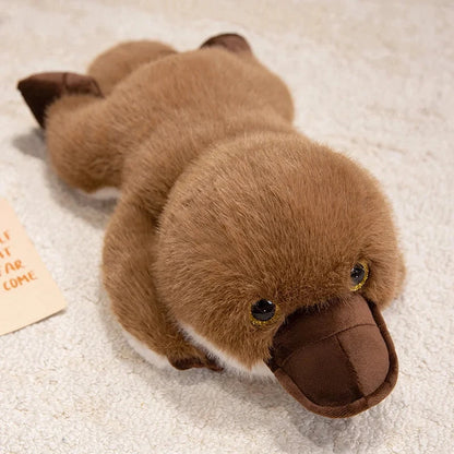 kawaiies-softtoys-plushies-kawaii-plush-Ronald the Fluffy Platypus Soft toy 80cm 