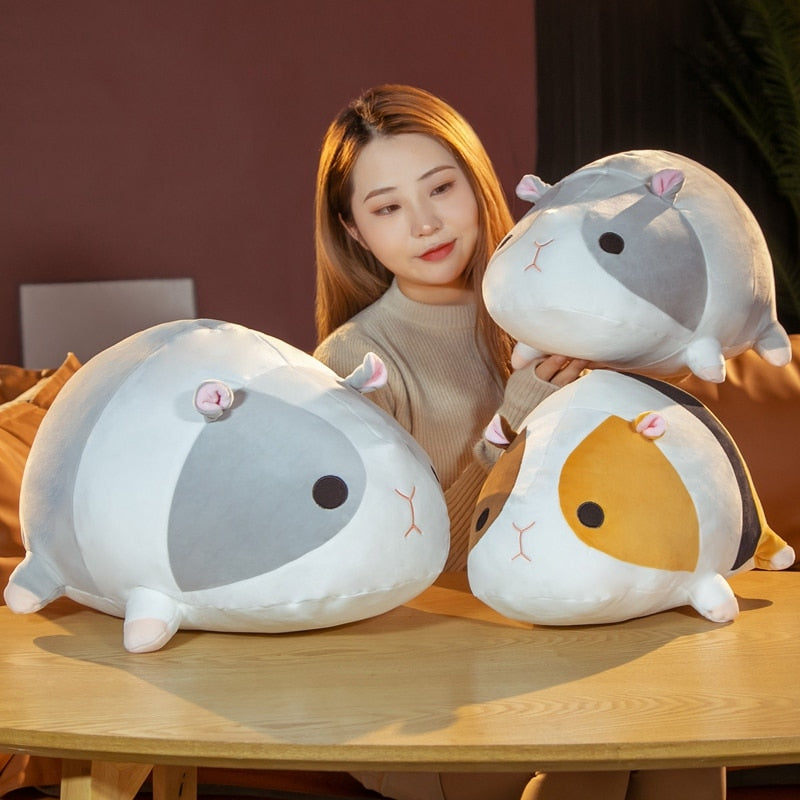 Curated visual reference: Adorable Lying Guinea Pigs Squad Photo Inspiration