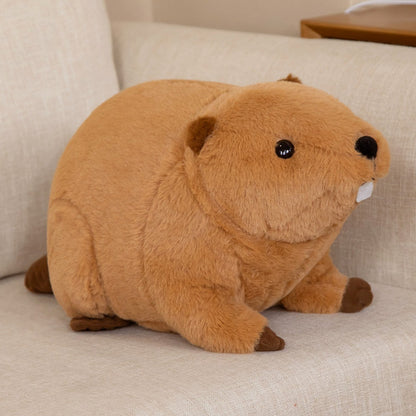 Billy & Willy the Fluffy Brown Beaver Plushie - Kawaiies - Adorable - Cute - Plushies - Plush - Kawaii