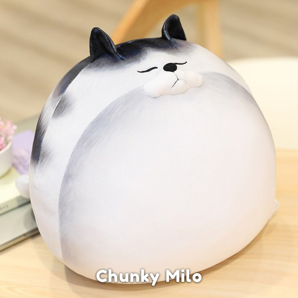 Chonky Cat Crew - Kawaiies - Adorable - Cute - Plushies - Plush - Kawaii