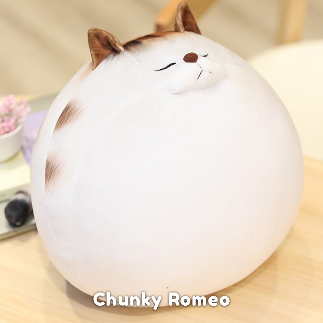 Chonky Cat Crew - Kawaiies - Adorable - Cute - Plushies - Plush - Kawaii