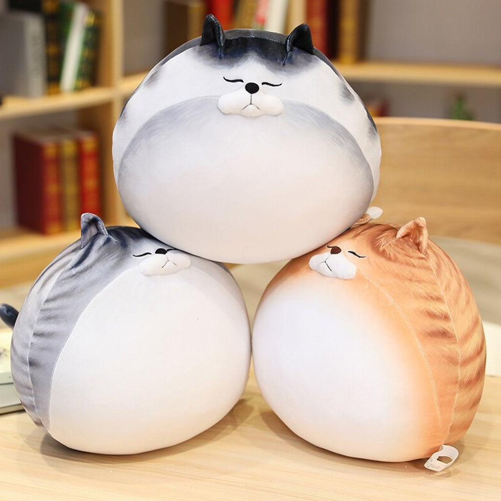 Chonky Cat Crew - Kawaiies - Adorable - Cute - Plushies - Plush - Kawaii