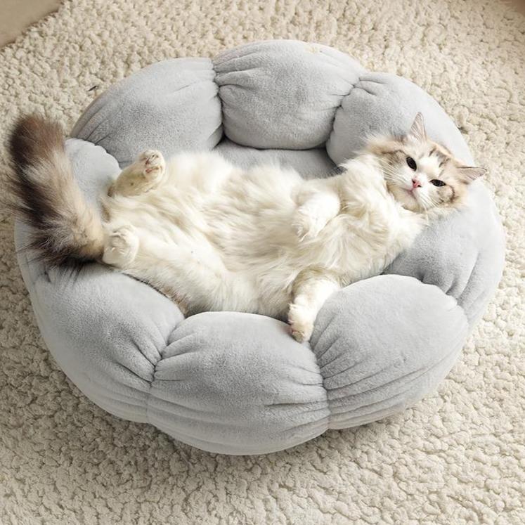 Flower Shaped Cat Bed - Kawaiies - Adorable - Cute - Plushies - Plush - Kawaii