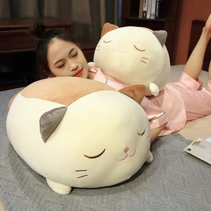 Huge Snuggly Caramel Cat Plush - Kawaiies - Adorable - Cute - Plushies - Plush - Kawaii