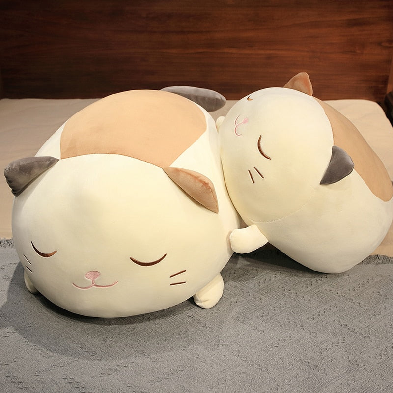 Huge Snuggly Caramel Cat Plush - Kawaiies - Adorable - Cute - Plushies - Plush - Kawaii