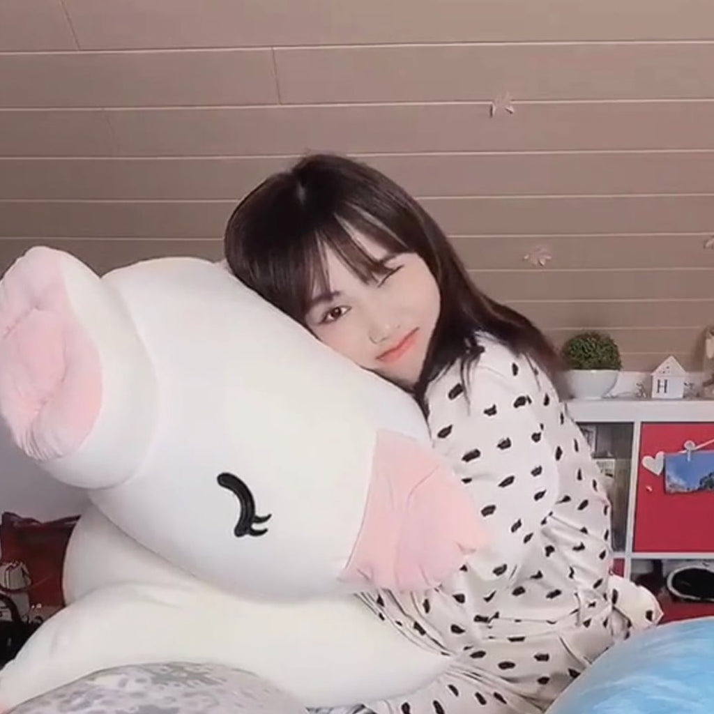 Jeju The Piggy Plushie | Exclusive - Kawaiies - Adorable - Cute - Plushies - Plush - Kawaii