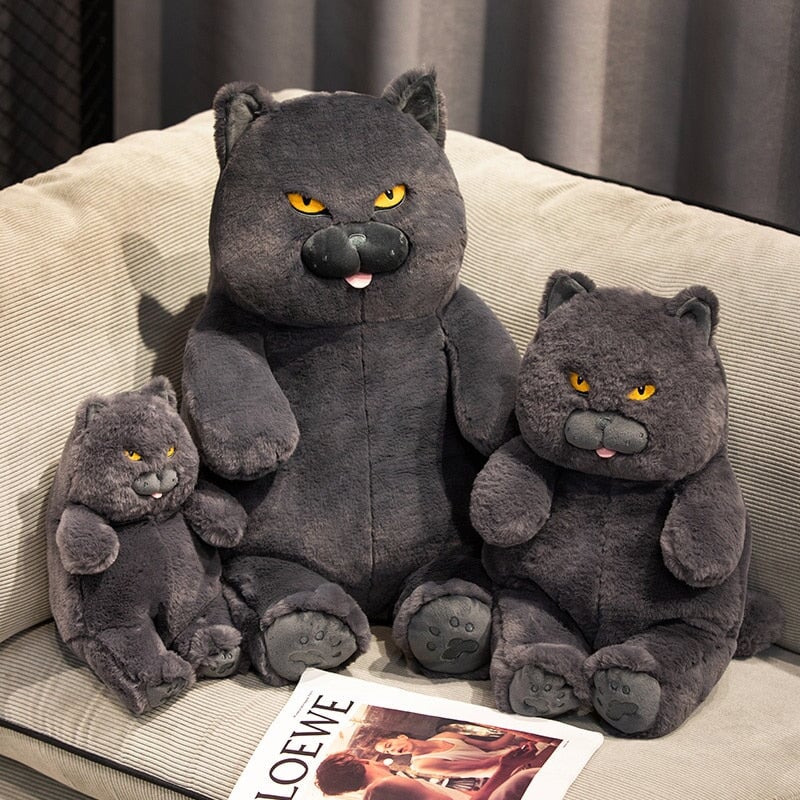 Poe the Grumpy Cat Plushie | NEW - Kawaiies - Adorable - Cute - Plushies - Plush - Kawaii