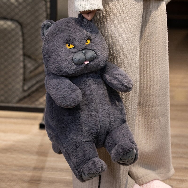 Poe the Grumpy Cat Plushie | NEW - Kawaiies - Adorable - Cute - Plushies - Plush - Kawaii