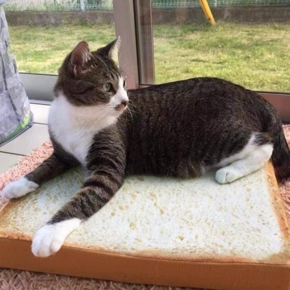 Slice of White Bread Pet Cat Dog Bed - Kawaiies - Adorable - Cute - Plushies - Plush - Kawaii